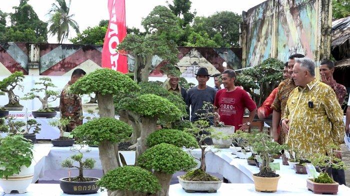 BBF 2024 Segera Digelar, Penggiat Bonsai Bangka Barat Catat Ini Tanggal dan Pelaksanaannya